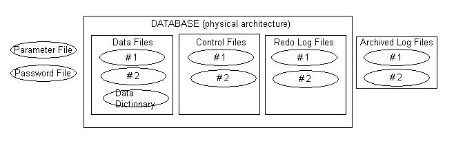 Database.jpg